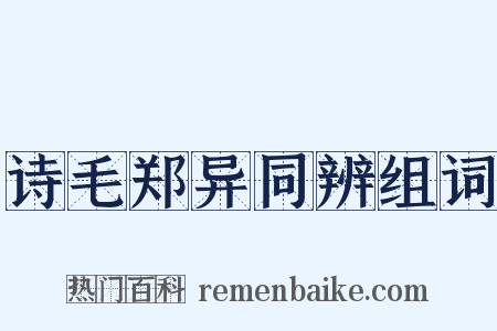 诗毛郑异同辨组词是什么意思的图片